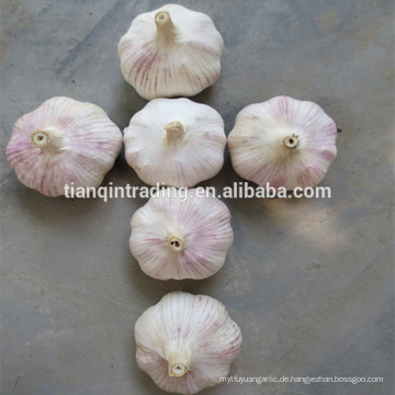 neue Ernte frischen China Knoblauch Preis